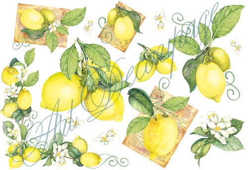 Рисовая бумага для декупажа Stamperia DFS059 Лимоны